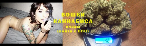 прущий лед Богданович