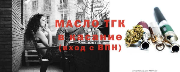 прущий лед Богданович