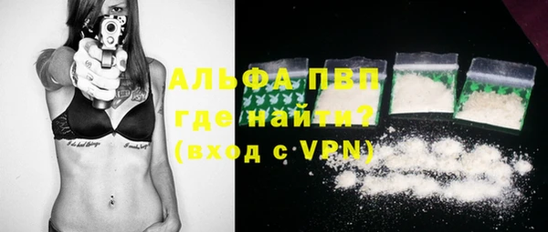 прущий лед Богданович