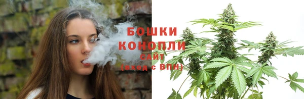 ПСИЛОЦИБИНОВЫЕ ГРИБЫ Богородицк