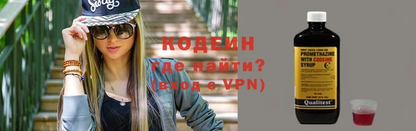 прущий лед Богданович