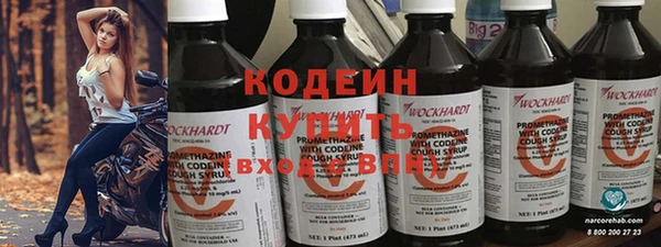 прущий лед Богданович