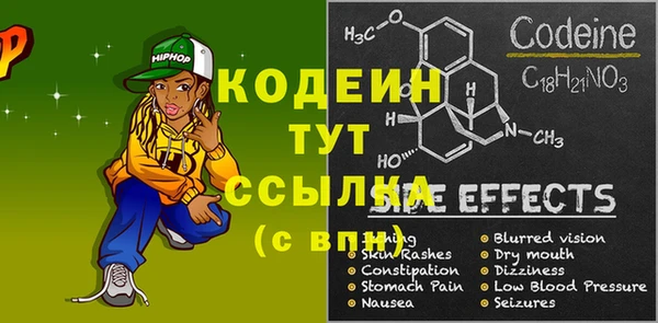 прущий лед Богданович