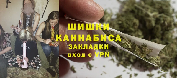 ПСИЛОЦИБИНОВЫЕ ГРИБЫ Богородицк