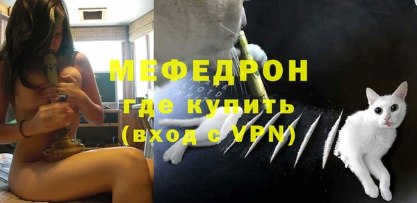 прущий лед Богданович
