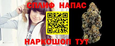 шишки Кингисепп