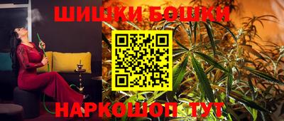 шишки Кингисепп