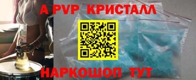 шишки Кингисепп