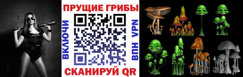 цена Мурманск Галлюциногенные грибы GOLDEN TEACHER