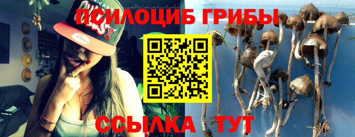 Псилоцибиновые грибы прущие грибы  Вход с VPN  Псилоцибиновые грибы Magic Shrooms  Мурманск 