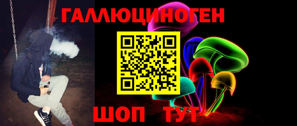 Псилоцибиновые грибы прущие грибы Мурманск
